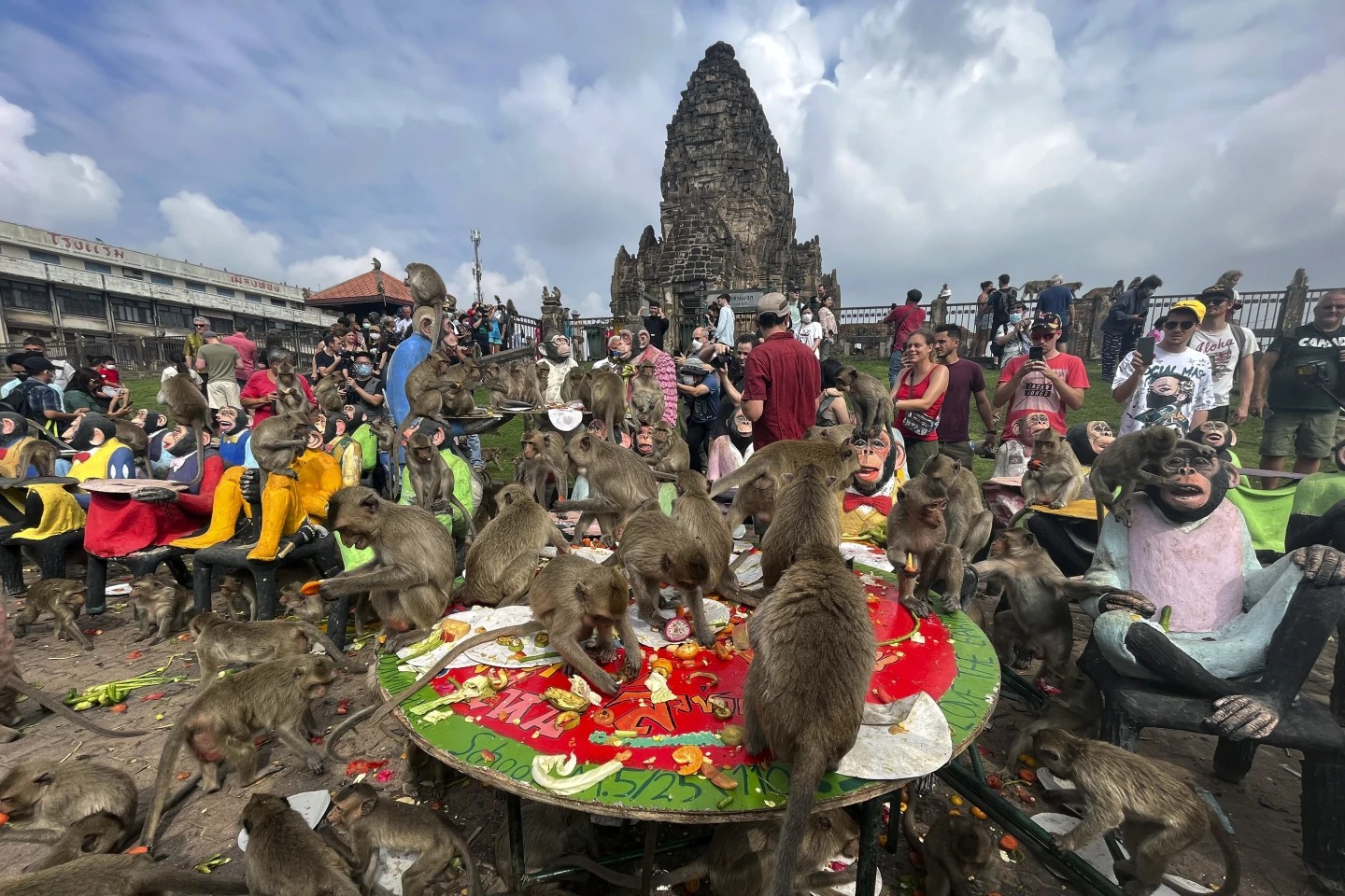 泰国计划遏制热门旅游小镇华富里的猴子骚乱