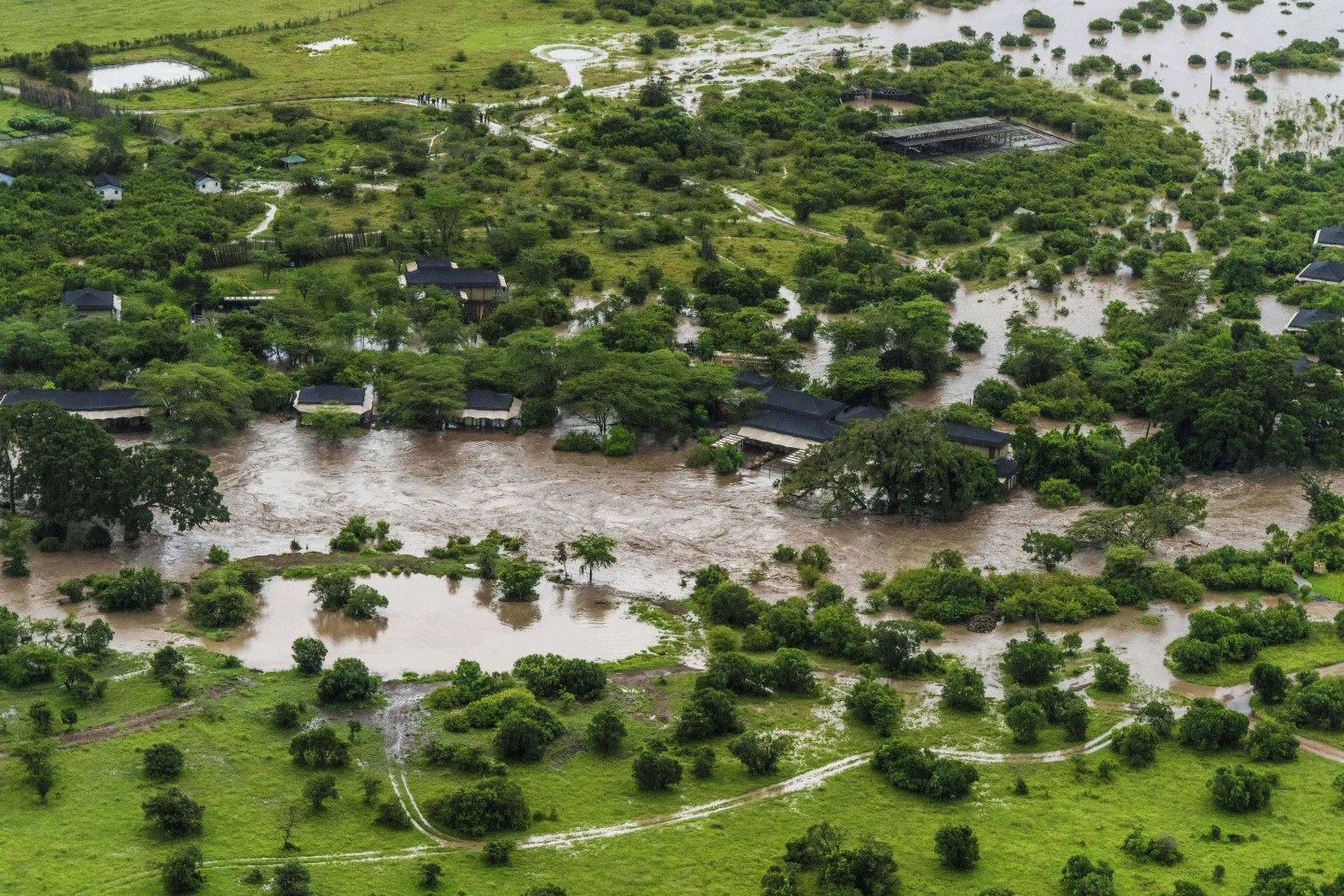 肯尼亚马赛马拉保护区遭遇洪水和暴雨，游客撤离