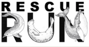 Rescue Run - Race for Marine Mammals 5K